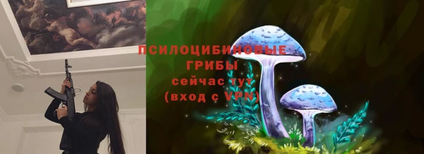 бошки Россошь