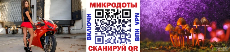 Псилоцибиновые грибы Psilocybine cubensis Судогда