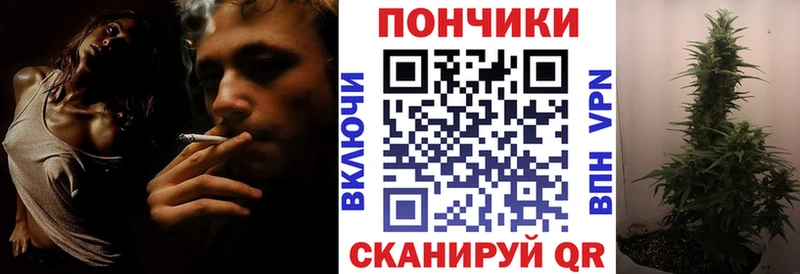 Каннабис марихуана  наркотики  Судогда 